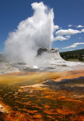 A geyser is a hot spring that periodically erupts, shooting a column of water and steam into the air.