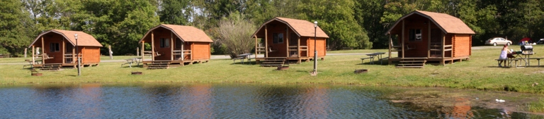 Cabins and Camping: There are many options for those who want to stay in the area, including camping and cabins.