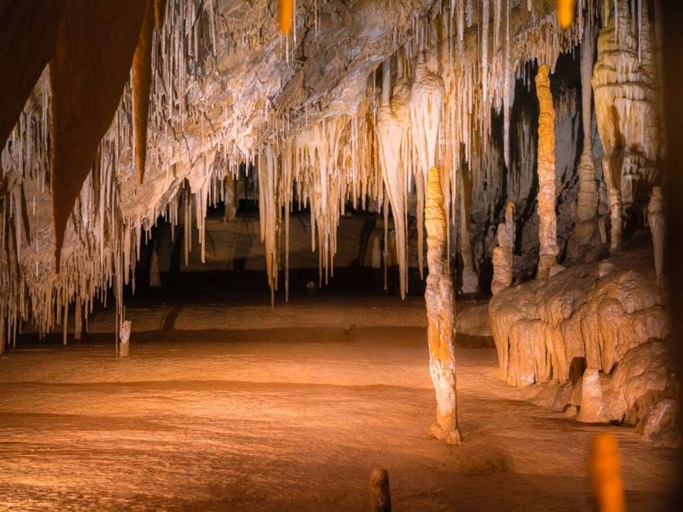 Hastings Caves & Thermal Springs is a great place to visit if you're looking to explore caves or relax in natural hot springs.