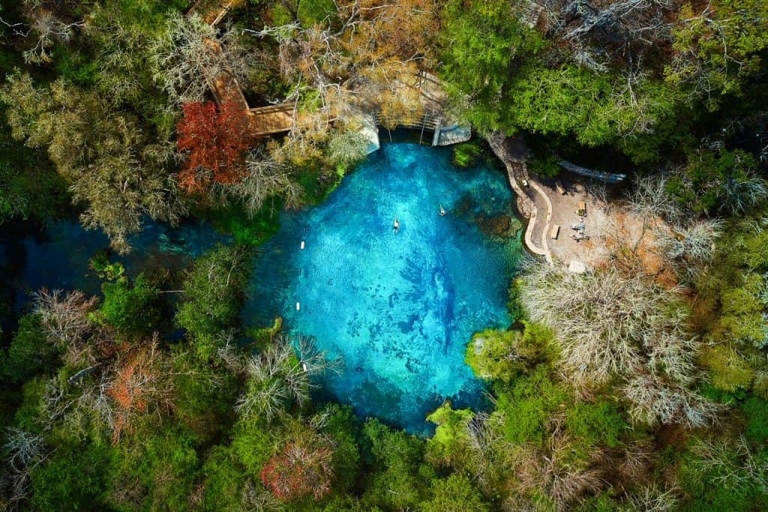 Ichetucknee Springs is a beautiful natural spring located in north Florida. The spring is known for its clear blue water and is a popular spot for swimming, tubing, and kayaking.
