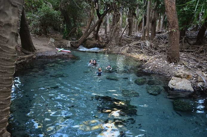 Mataranka Hot Springs is a great place to visit if you are looking to relax and rejuvenate.