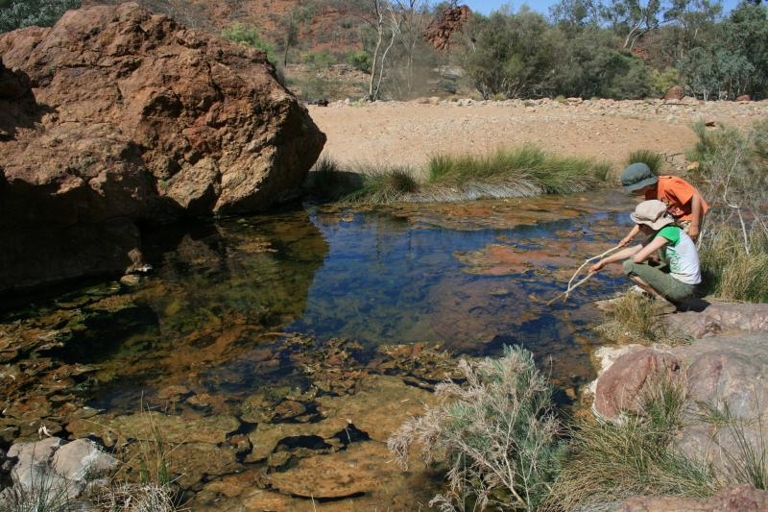 The Paralana (Radioactive) Hot Springs are not safe for swimming due to the high levels of radioactivity and toxicity.