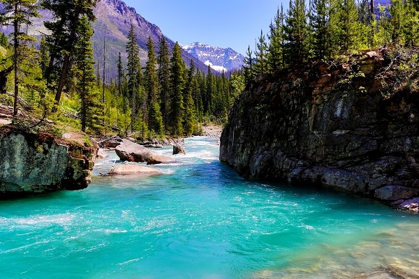 The village is located in the East Kootenay region of the province, on the edge of Kootenay National Park. Radium Hot Springs is a village in British Columbia, Canada.