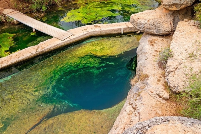 The Warm Springs Pool and Underwater Cave System is a unique and beautiful natural area in Wimberley, Texas.