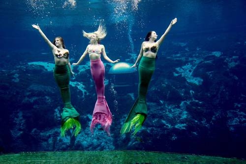 The Weeki Wachee Springs Park is located in Spring Hill, Florida.