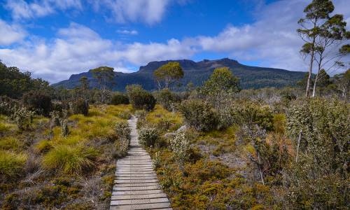 There are plenty of walking paths to explore in Tasmania.