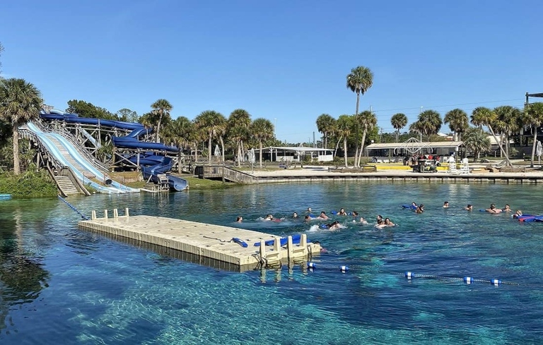 Weeki Wachee Springs Park is a great place to take a dip in the cool, refreshing water.
